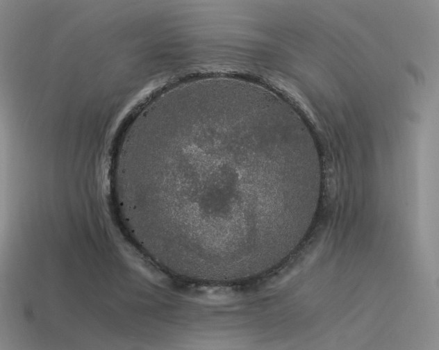 X0000115480395200911061221