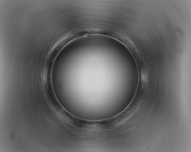 X0000115480396200911061221