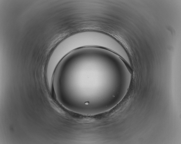 X0000115480397200911061221