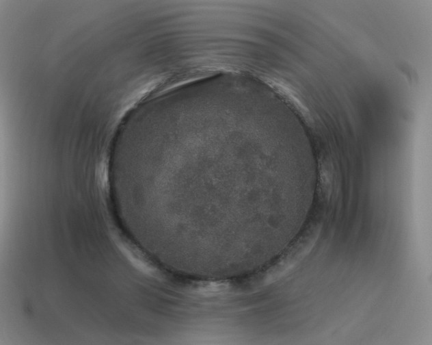 X0000115480398200911061221