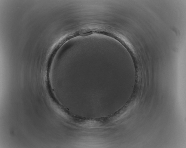 X0000115480399200911061221