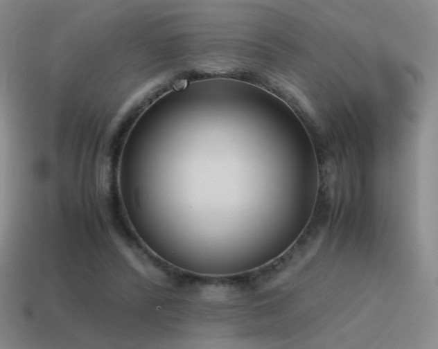 X0000115480400200911061221