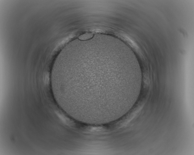 X0000115480401200911061221