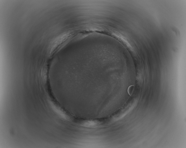 X0000115480402200911061221