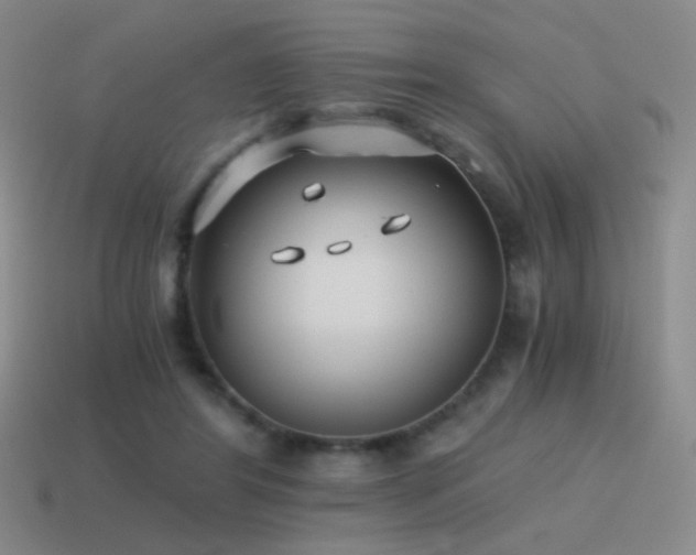 X0000115480404200911061221