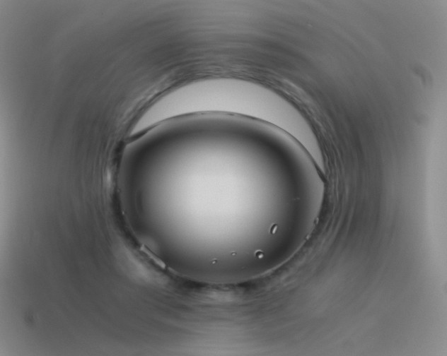 X0000115480405200911061221