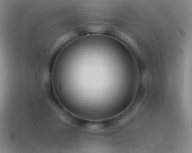 X0000115480407200911061221