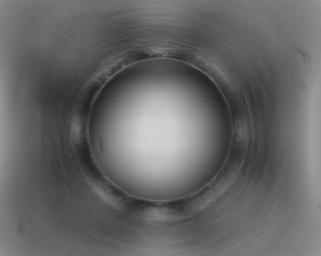 X0000115480408200911061221