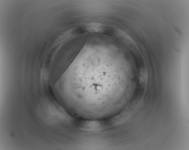 X0000115480409200911061221