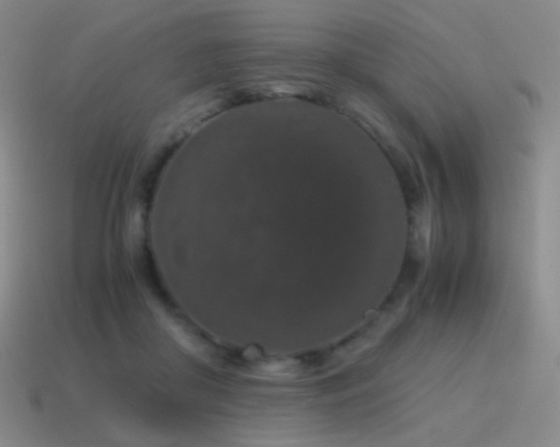 X0000115480410200911061221