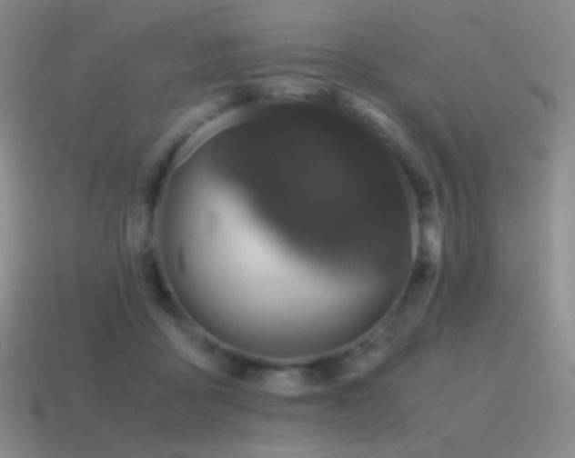 X0000115480411200911061221