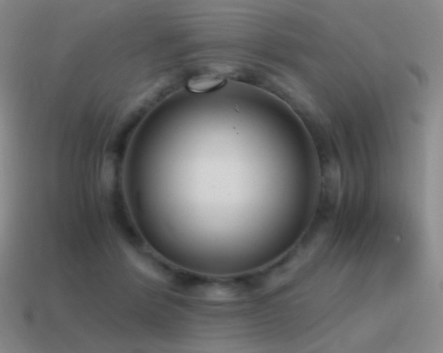 X0000115480412200911061221