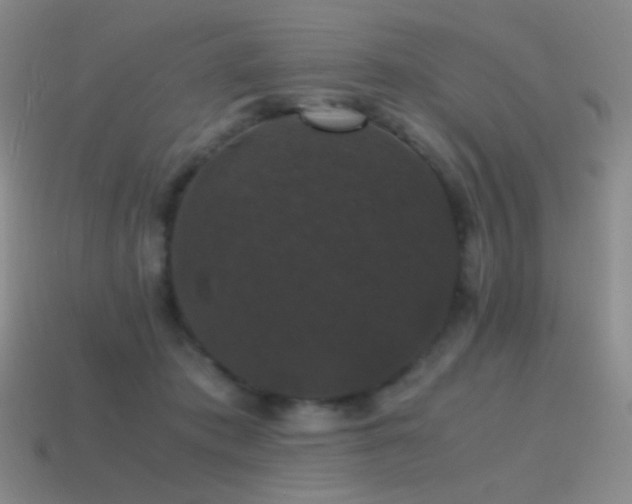 X0000115480413200911061221