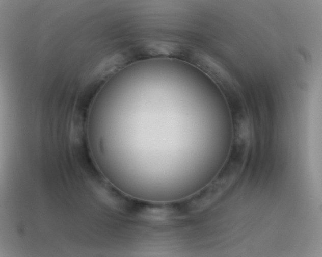 X0000115480414200911061221