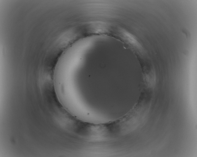 X0000115480415200911061221