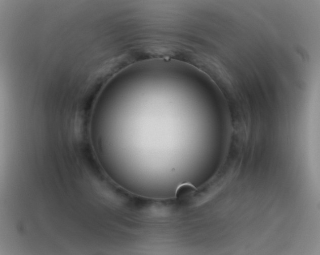 X0000115480416200911061221