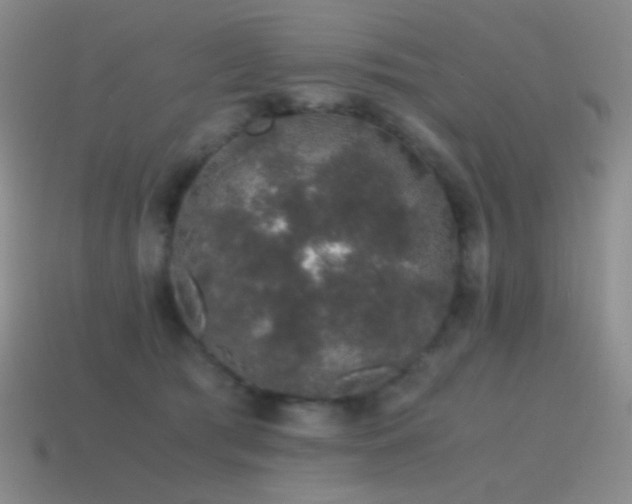 X0000115480417200911061221