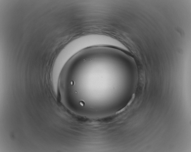 X0000115480419200911061221