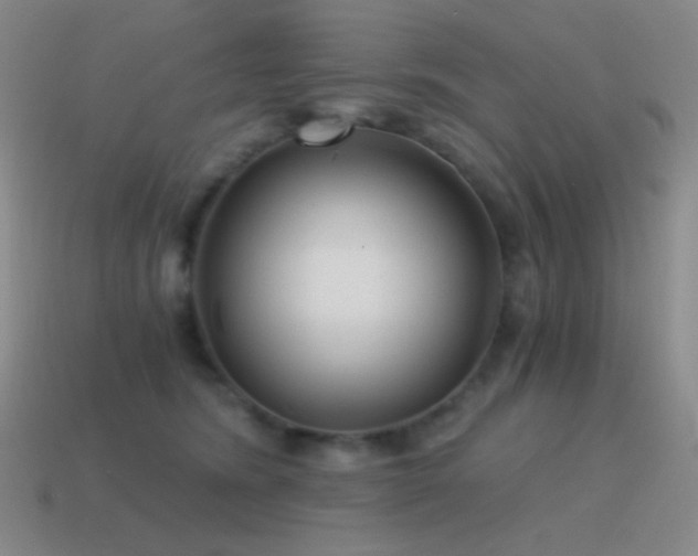 X0000115480420200911061221