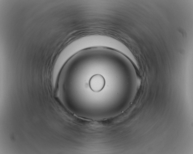 X0000115480421200911061221