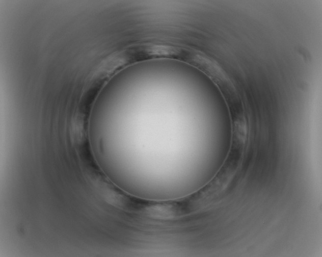 X0000115480422200911061221