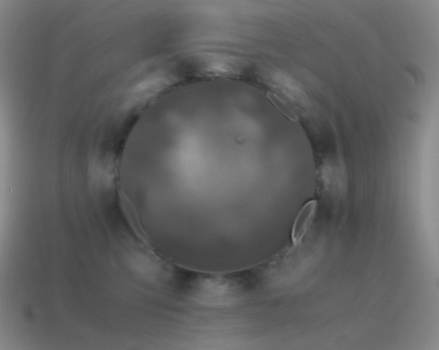 X0000115480423200911061221