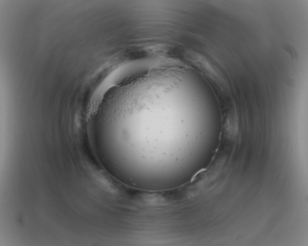 X0000115480424200911061221