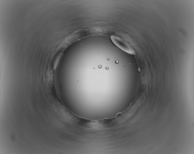 X0000115480425200911061221