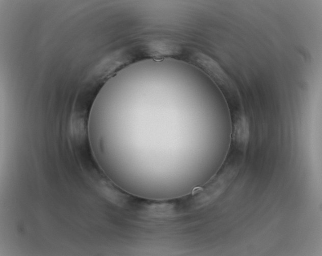 X0000115480426200911061221