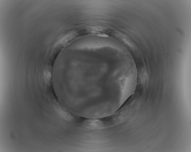 X0000115480427200911061221