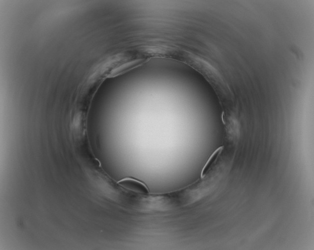 X0000115480428200911061221