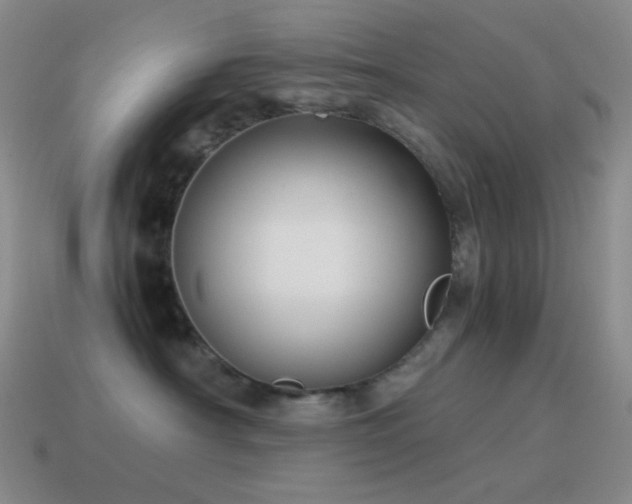 X0000115480430200911061221