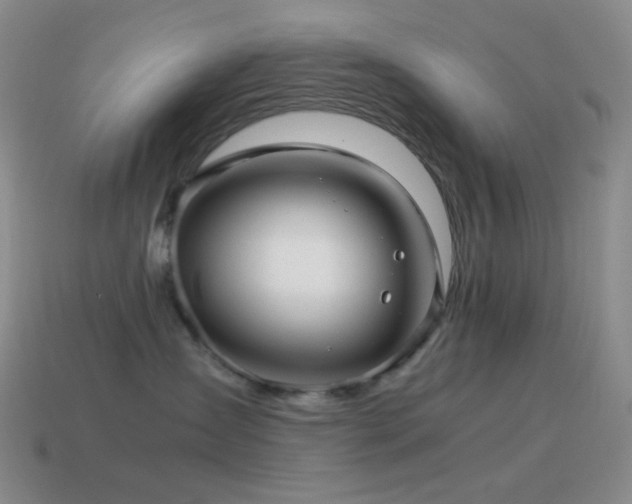 X0000115480431200911061221