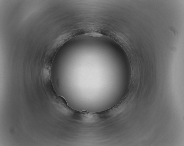 X0000115480432200911061221