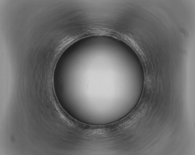 X0000115480433200911061220