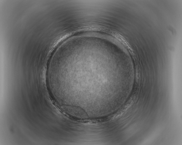 X0000115480434200911061220