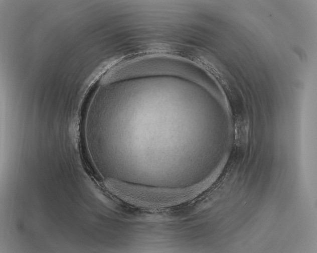 X0000115480436200911061220