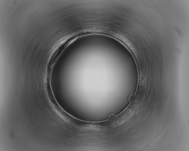X0000115480437200911061220