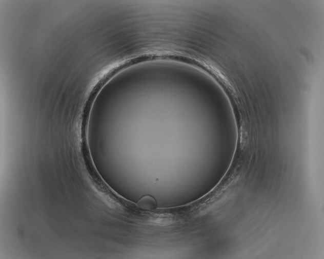 X0000115480438200911061220