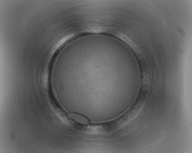 X0000115480440200911061220