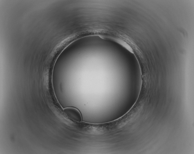 X0000115480442200911061220