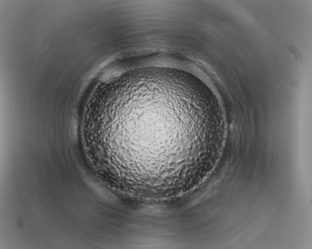 X0000115480446200911061220
