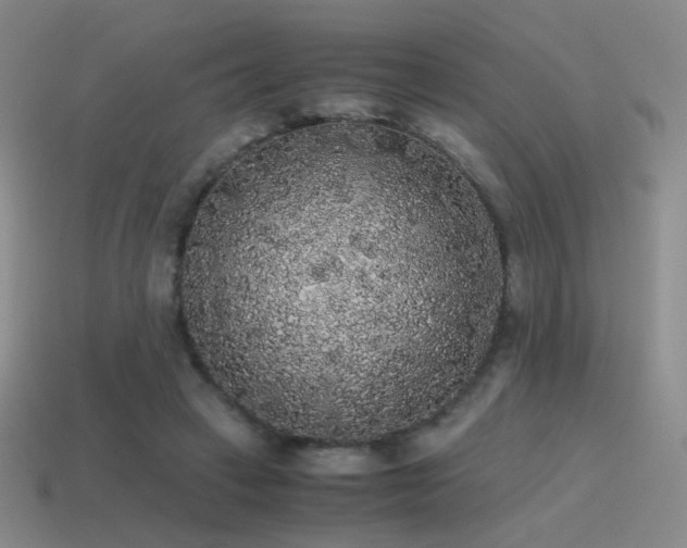 X0000115480449200911061220