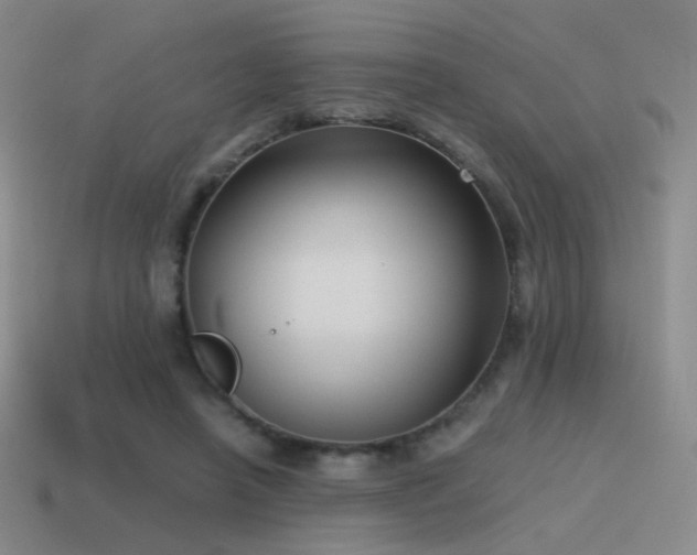 X0000115480450200911061220