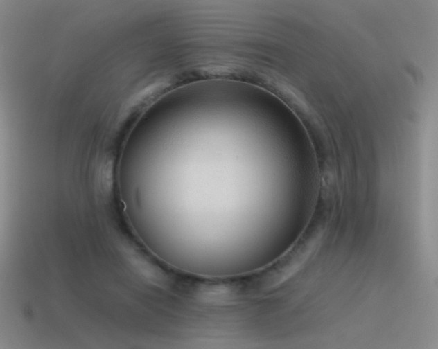 X0000115480454200911061220