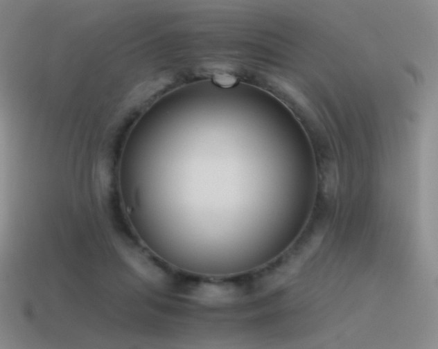 X0000115480455200911061220