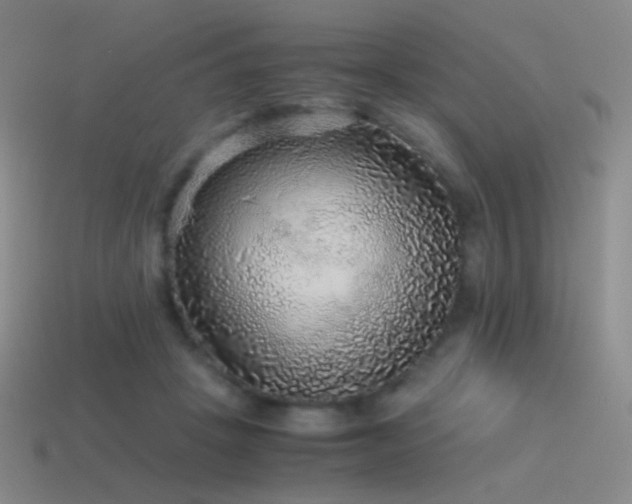 X0000115480457200911061221