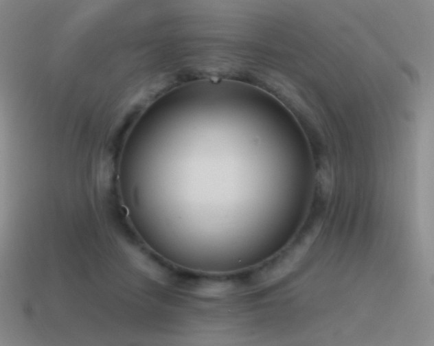 X0000115480458200911061221