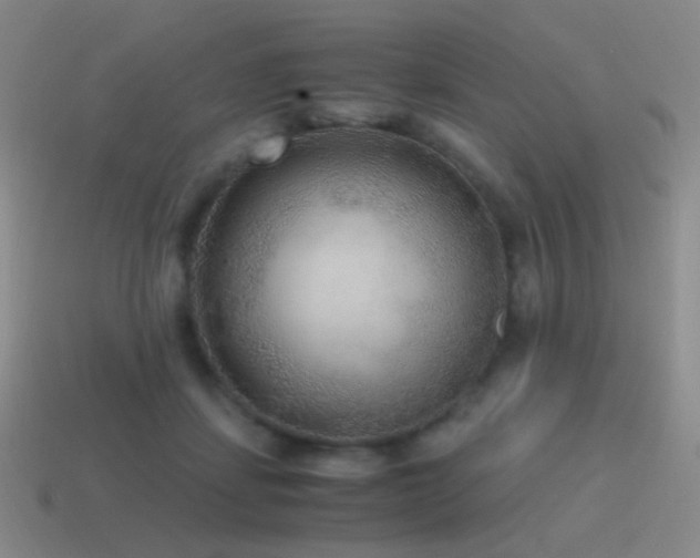 X0000115480459200911061221