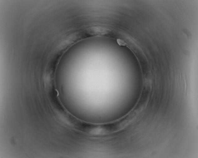 X0000115480460200911061221